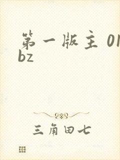 第一版主 01bz