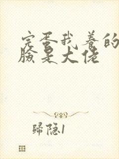 完蛋我养的小白脸是大佬