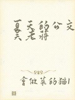 夏天的公交车老吴老蒋