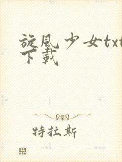 旋风少女txt下载