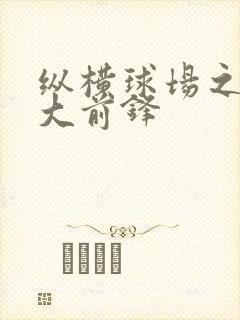 纵横球场之暴力大前锋