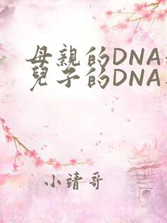 母亲的DNA和儿子的DNA是一样的吗