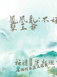 凤凰乱:不嫁妖孽王爷