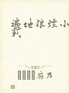 遍地狼烟小说下载