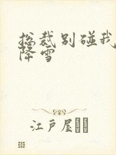 总裁别碰我 韩降雪