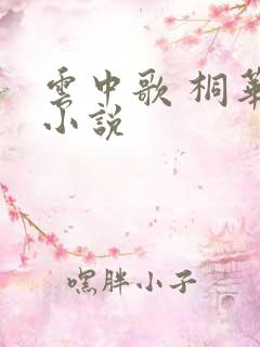 云中歌 桐华 小说