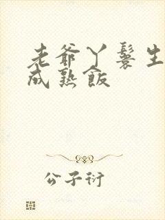 老爷丫鬟生米煮成熟饭