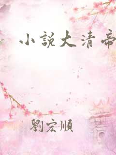 小说大清帝国