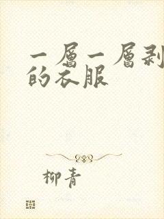 一层一层剥开你的衣服