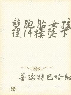 双胞胎女孩双双从14楼坠下