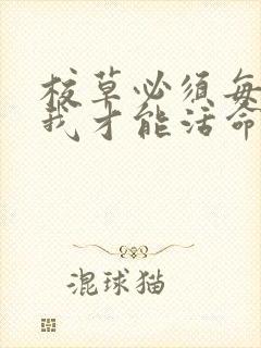 校草必须每天吸我才能活命[穿书]