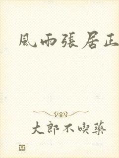 风雨张居正下载