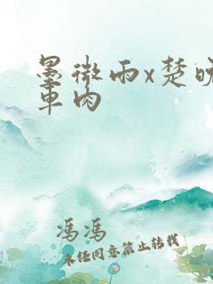 墨微雨x楚晚宁车肉