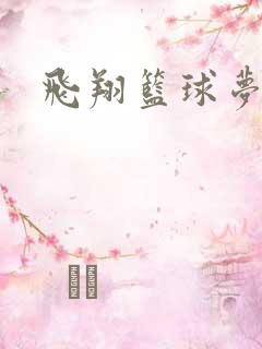 飞翔篮球梦下载