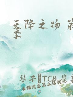 天降之物 第一季