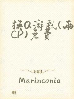 换Q游戏(两对CP)免费