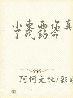 小东西你真能要了我的命