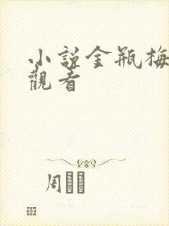 小说金瓶梅在线观看