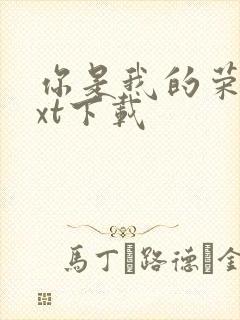 你是我的荣耀txt下载