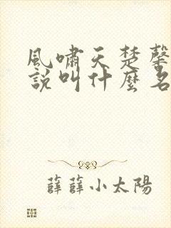 风啸天楚馨月小说叫什么名字