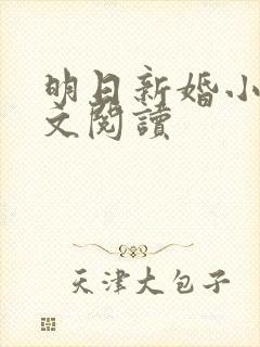 明日新婚小说全文阅读