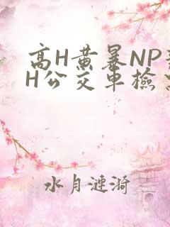 高H黄暴NP辣H公交车检票员