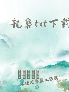 龙枭txt下载