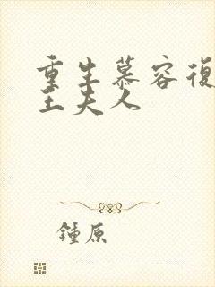 重生慕容复之弄王夫人