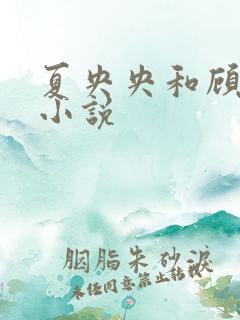 夏央央和顾祁琛小说