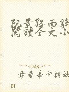 阮景路南辞免费阅读全文小说