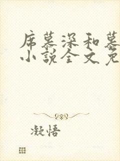 席慕深和慕清泠小说全文免费阅读