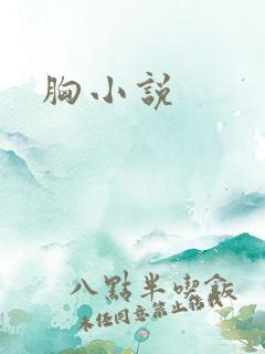 胸小说