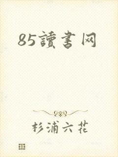 85读书网