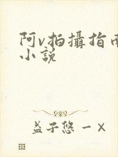 阿v拍摄指南说小说