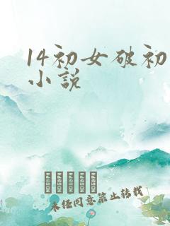 14初女破初的小说