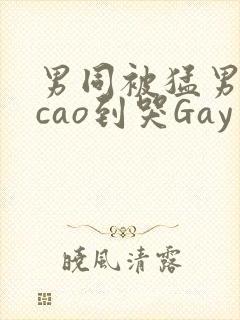 男同被猛男房东cao到哭Gay