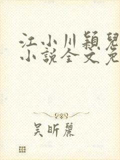 江小川颖儿穿越小说全文免费阅读