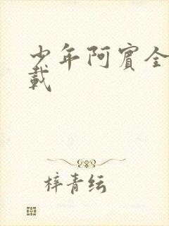 少年阿宾全集下载