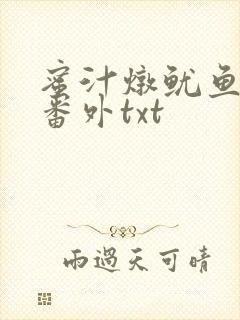 蜜汁炖鱿鱼全文番外txt