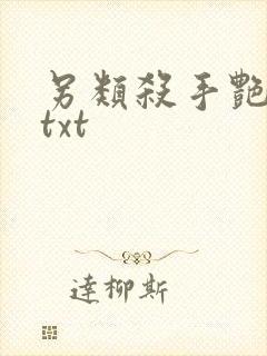 另类杀手艳福星txt