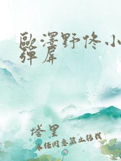 欧泽野佟小曼无弹屏