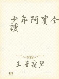 少年阿宾全集阅读