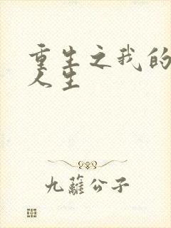 重生之我的抄袭人生