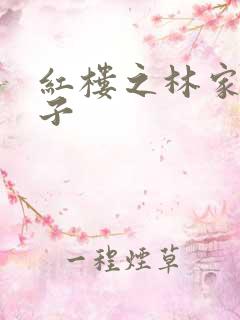 红楼之林家庶长子