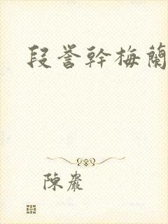 段誉干梅兰竹菊