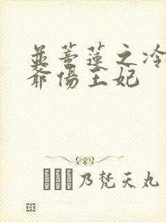 并蒂莲之冷酷王爷伤王妃