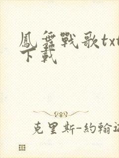 凤舞战歌txt下载