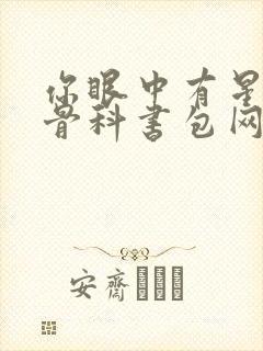 你眼中有星辰h骨科书包网