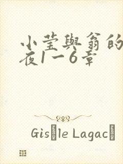 小莹与翁的销魂夜1一6章