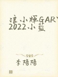 浪小辉GARY2022小蓝